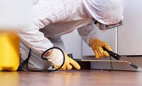 Best Real Estate Pest Inspections  in Burgettstown, PA